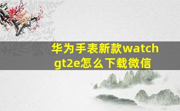 华为手表新款watch gt2e怎么下载微信